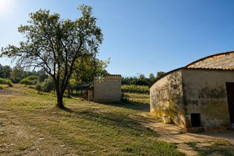 Farm i Beniganim, Valencia, Beniganim - € 67.000 | Ref: PNPT301 - foto 8